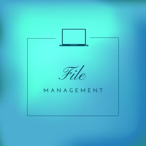 file management 2